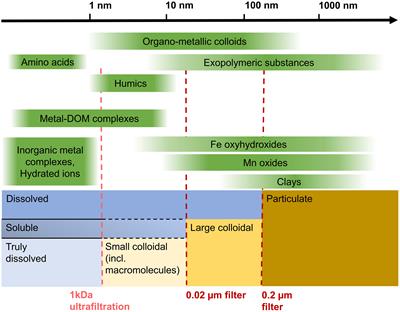 The importance of the soluble and colloidal pools for trace metal cycling in deep-sea pore waters